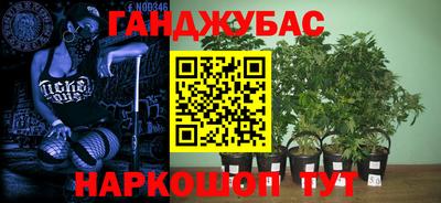 jwh Малоярославец