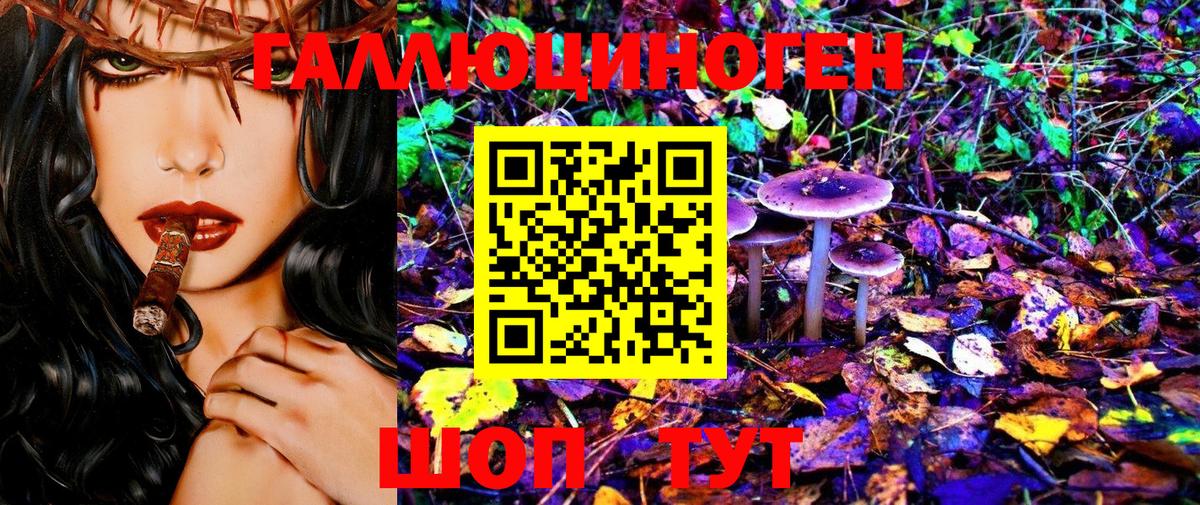 Псилоцибиновые грибы Psilocybe  Вход с VPN  Чапаевск 